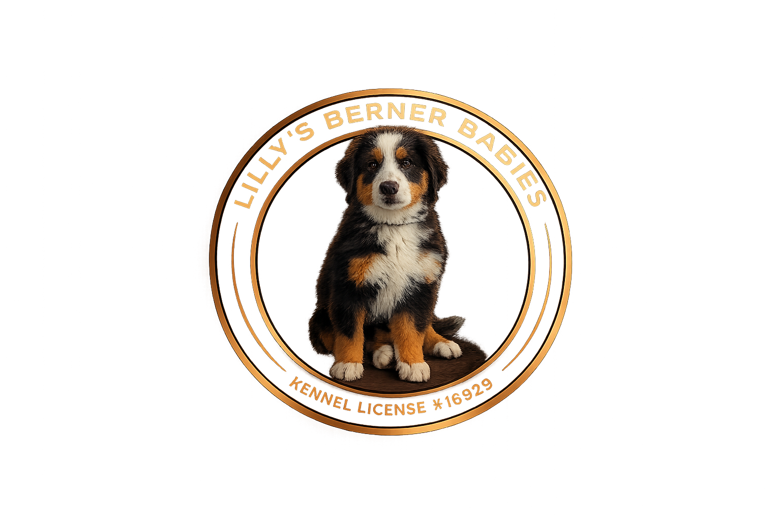 LBB Logo